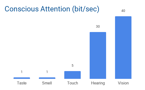 Image Of Senses Throughput For Conscious Attention