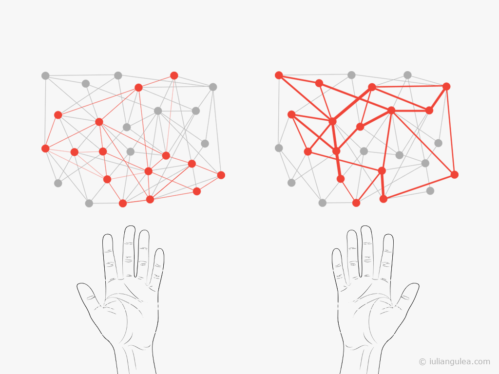 Emerging neural circuit responsible for writing with the experienced hand