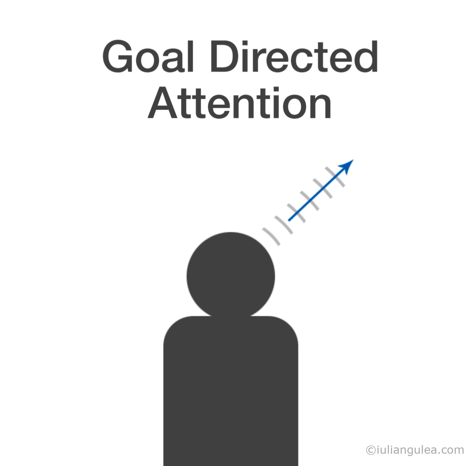 Image with Goal-Directed attention that is narrow