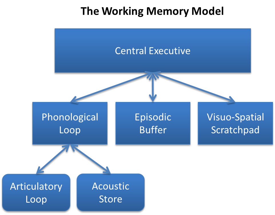 Baddeley and Hitch multicomponent model