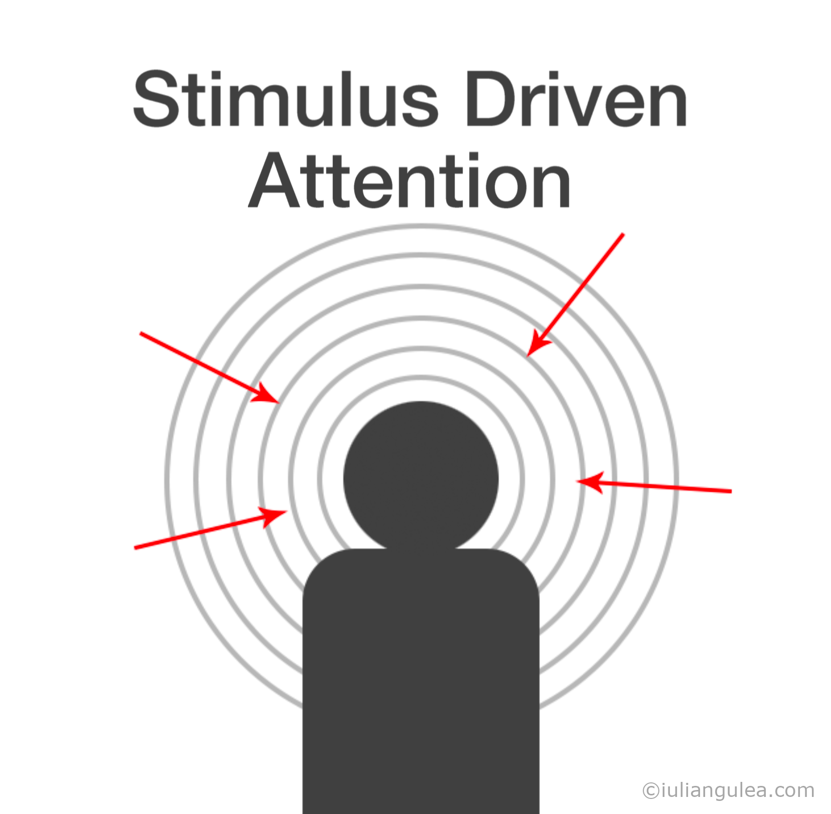 Image with Stimulus-Driven attention that processes information from around us