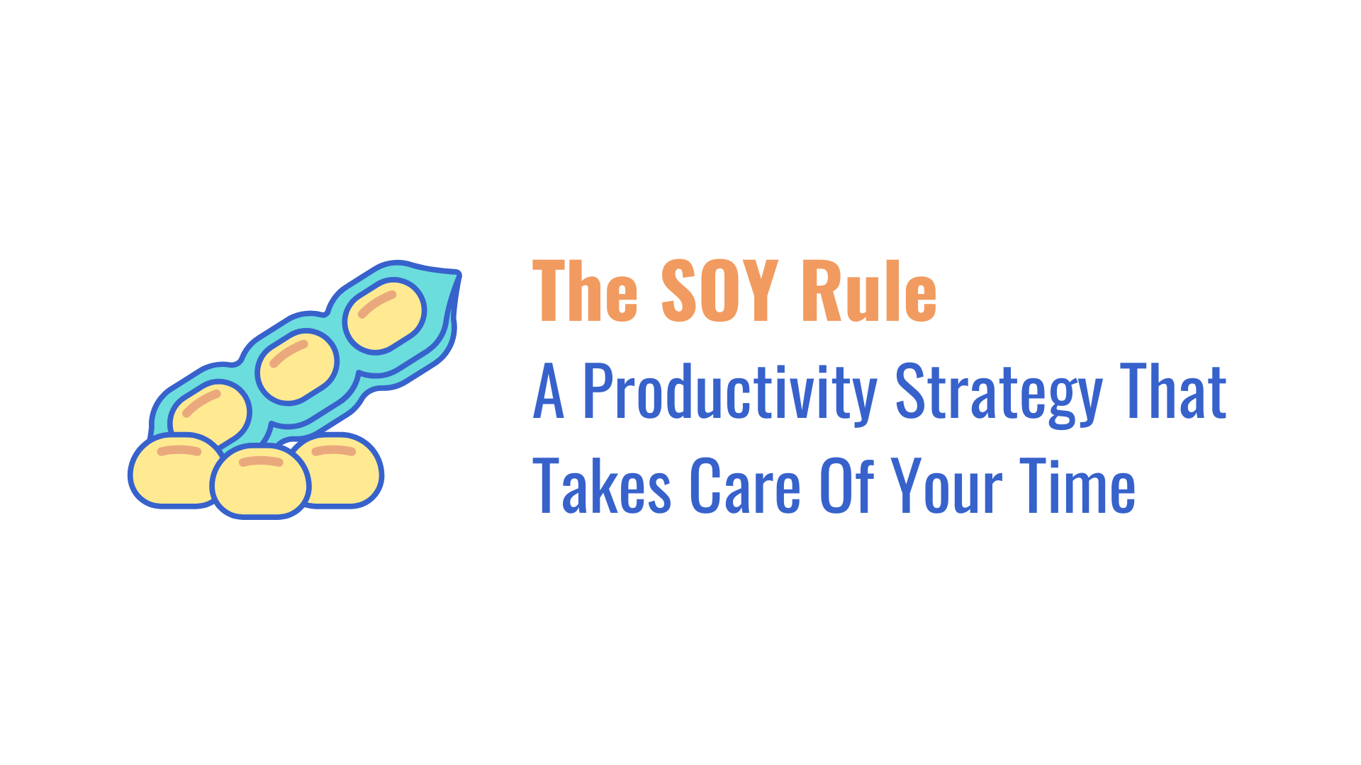 The SOY Rule cover